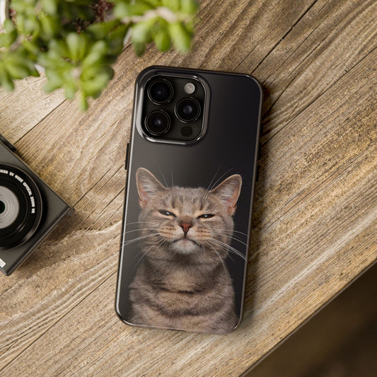 Husă de protecție, Magsafe, Judging cat